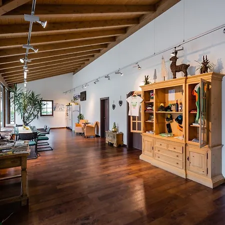 דירה Alpenchalets Flachauer Gutshof