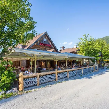 Alpenchalets Flachauer Gutshof