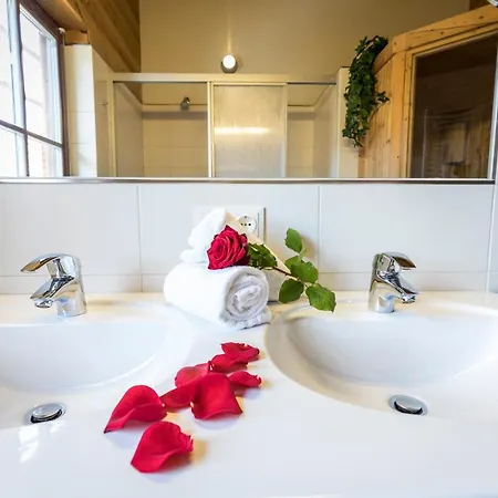 Alpenchalets Flachauer Gutshof